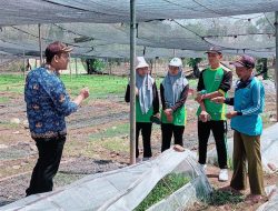 MAN 2 Tuban Adakan Pembelajaran Lapangan Guna Ciptakan Peneliti Muda