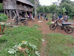 Tragedi Pilu di Tanggamus: Warga Tewas Diserang Gajah Liar