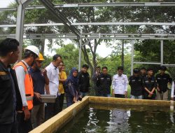 Inovasi Karang Taruna Gempol: Budidaya Maggot dan Ikan untuk Pemberdayaan Pemuda