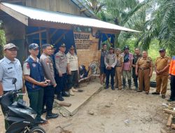 Jejak Kaki Harimau Ditemukan di Pesisir Barat, Polres dan TNBBS Ambil Langkah Cepat