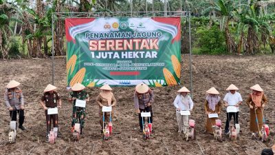 Gerakan Penanaman Jagung Serentak 1 Juta Hektar Dimulai di Lampung Selatan