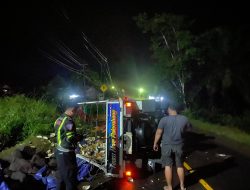 Kecelakaan di Jalan Lintas Sumatera Way Kanan: Pick-Up Terguling, Durian Dijarah Warga