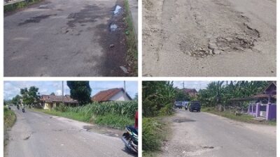 Lima Desa Di kecamatan palas Menunggu Anggaran APBD Perbaikan Susulan Jalan Raya Palas