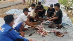 LAZNAS Dewan Dakwah Bersama Takmir As Shobirin Gelar Penyembelihan Hewan Qurban