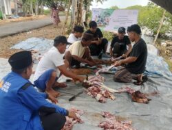 LAZNAS Dewan Dakwah Bersama Takmir As Shobirin Gelar Penyembelihan Hewan Qurban