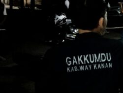 DEMOKRASI DIJUAL ECERAN