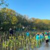 Pantai yang lestari dimulai dari langkah kecil yang dilakukan bersama