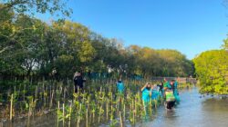 Pantai yang lestari dimulai dari langkah kecil yang dilakukan bersama