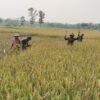 KETIKA 31 JUTA ANGGOTA KOPERASI MENGGERAKKAN EKONOMI INDONESIA