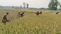 KETIKA 31 JUTA ANGGOTA KOPERASI MENGGERAKKAN EKONOMI INDONESIA