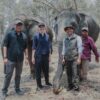Pemprov Lampung Perkuat Mitigasi Konflik Gajah di Way Kambas