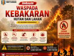 Kebakaran Lahan Berulang, Bupati Ayu Tekankan Pentingnya Kewaspadaan Masyarakat