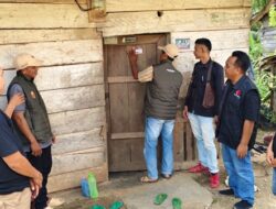 KETIKA PENGUMUMAN DPT TERLAMBAT: PELAJARAN AKUNTABILITAS DARI WAY TUBA